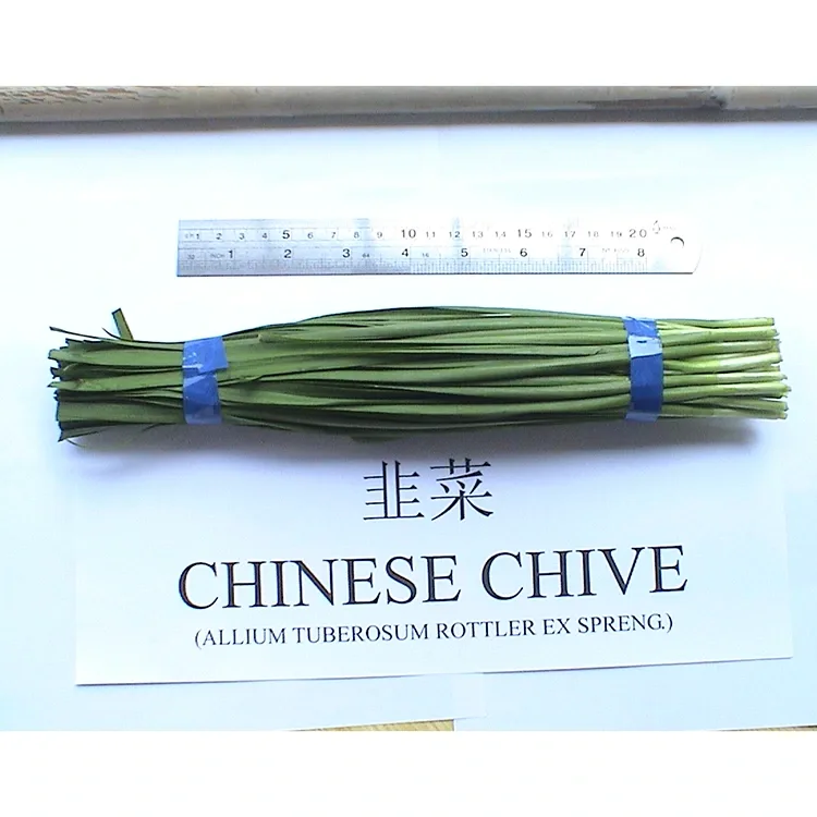 Għaliex il-Chives Ċiniż Frisk tar-Razzett Użat ħafna fil-Kċina Asjatika?