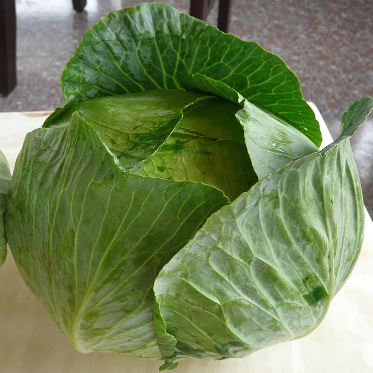 Kaboċċi Frisk Iqarmeċ