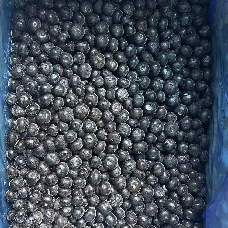 Blueberry Premium IQF iffriżat