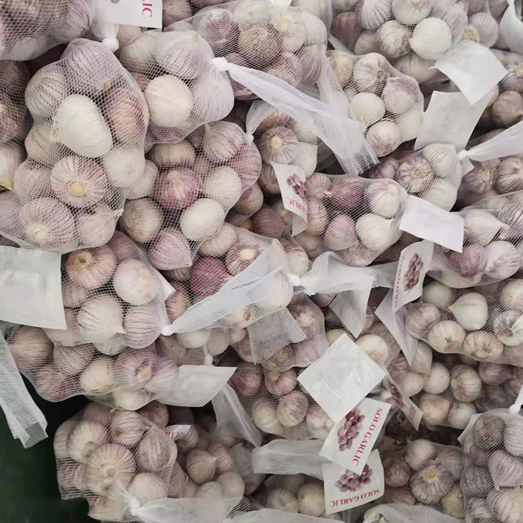 Kwalità Għolja Sinna Uniku Tewm