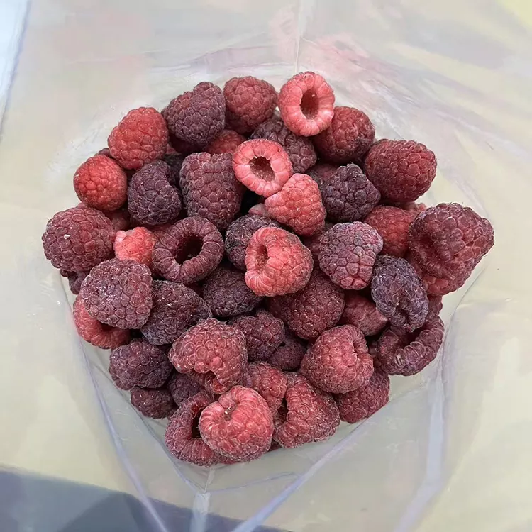 Premium IQF Lampun Aħmar Iffriżat Sħiħ