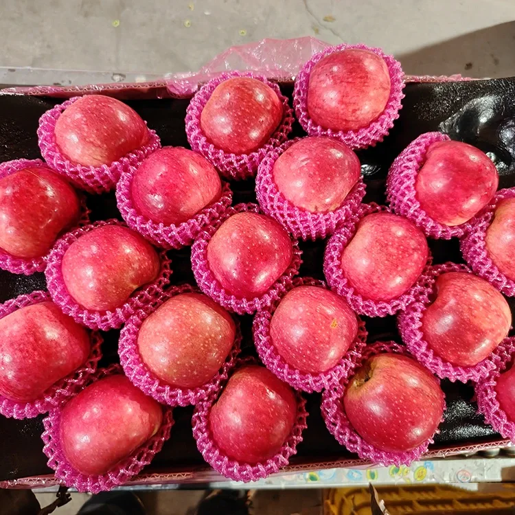 Tuffieħ Jiguan Frisk Superjuri